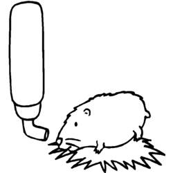 Dessin à colorier: Hamster (Animaux) #8049 - Coloriages à Imprimer Gratuits