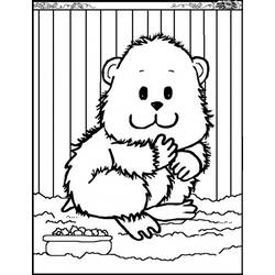 Dessin à colorier: Hamster (Animaux) #8059 - Coloriages à Imprimer Gratuits