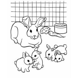 Dessin à colorier: Hamster (Animaux) #8072 - Coloriages à Imprimer Gratuits