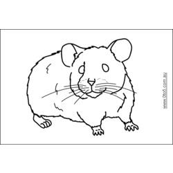 Dessin à colorier: Hamster (Animaux) #8103 - Coloriages à Imprimer Gratuits