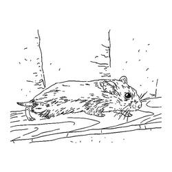 Dessin à colorier: Hamster (Animaux) #8120 - Coloriages à Imprimer Gratuits