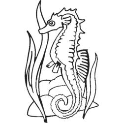 Dessin à colorier: Hippocampe (Animaux) #18632 - Coloriages à Imprimer Gratuits