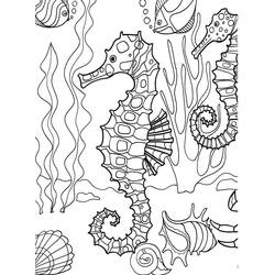 Dessin à colorier: Hippocampe (Animaux) #18718 - Coloriages à Imprimer Gratuits