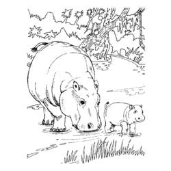 Dessin à colorier: Hippopotame (Animaux) #8611 - Coloriages à Imprimer Gratuits