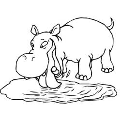 Dessin à colorier: Hippopotame (Animaux) #8619 - Coloriages à Imprimer Gratuits