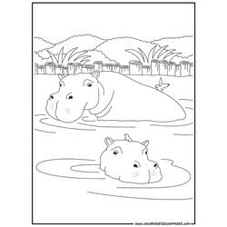 Dessin à colorier: Hippopotame (Animaux) #8633 - Coloriages à Imprimer Gratuits