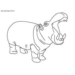 Dessin à colorier: Hippopotame (Animaux) #8663 - Coloriages à Imprimer Gratuits