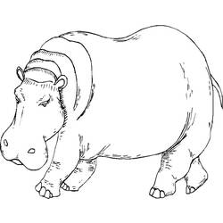 Dessin à colorier: Hippopotame (Animaux) #8665 - Coloriages à Imprimer Gratuits