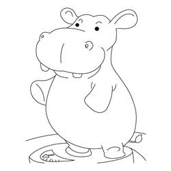 Dessin à colorier: Hippopotame (Animaux) #8681 - Coloriages à Imprimer Gratuits