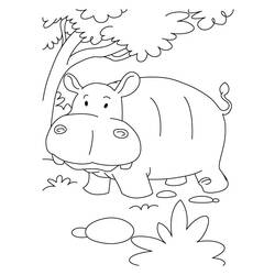Dessin à colorier: Hippopotame (Animaux) #8738 - Coloriages à Imprimer Gratuits