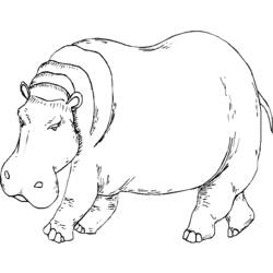 Dessin à colorier: Hippopotame (Animaux) #8745 - Coloriages à Imprimer Gratuits