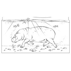 Dessin à colorier: Hippopotame (Animaux) #8766 - Coloriages à Imprimer Gratuits