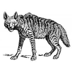 Dessin à colorier: Hyène (Animaux) #19644 - Coloriages à Imprimer Gratuits