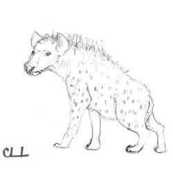 Dessin à colorier: Hyène (Animaux) #19665 - Coloriages à Imprimer Gratuits