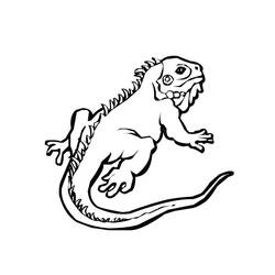 Dessin à colorier: Iguane (Animaux) #8910 - Coloriages à Imprimer Gratuits