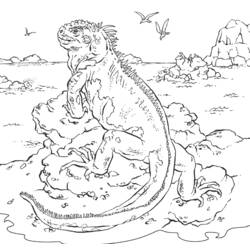 Dessin à colorier: Iguane (Animaux) #8913 - Coloriages à Imprimer Gratuits