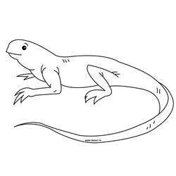 Dessin à colorier: Iguane (Animaux) #8917 - Coloriages à Imprimer Gratuits