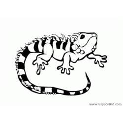 Dessin à colorier: Iguane (Animaux) #8918 - Coloriages à Imprimer Gratuits