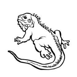 Dessin à colorier: Iguane (Animaux) #8948 - Coloriages à Imprimer Gratuits