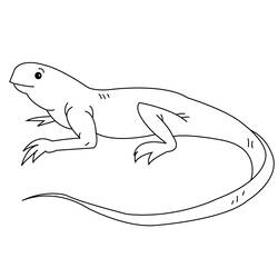 Dessin à colorier: Iguane (Animaux) #8951 - Coloriages à Imprimer Gratuits