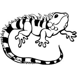 Dessin à colorier: Iguane (Animaux) #8959 - Coloriages à Imprimer Gratuits