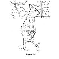 Dessin à colorier: Kangourou (Animaux) #9164 - Coloriages à Imprimer Gratuits
