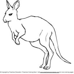 Dessin à colorier: Kangourou (Animaux) #9193 - Coloriages à Imprimer Gratuits