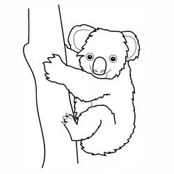 Dessin à colorier: Koala (Animaux) #9300 - Coloriages à Imprimer Gratuits