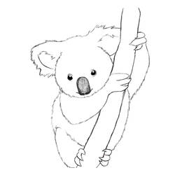 Dessin à colorier: Koala (Animaux) #9305 - Coloriages à Imprimer Gratuits