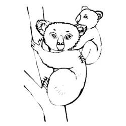 Dessin à colorier: Koala (Animaux) #9324 - Coloriages à Imprimer Gratuits