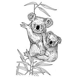 Dessin à colorier: Koala (Animaux) #9327 - Coloriages à Imprimer Gratuits