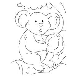 Dessin à colorier: Koala (Animaux) #9411 - Coloriages à Imprimer Gratuits