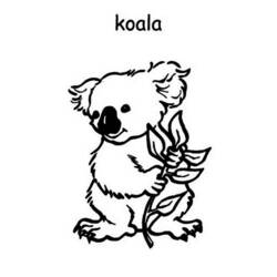 Dessin à colorier: Koala (Animaux) #9420 - Coloriages à Imprimer Gratuits