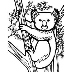 Dessin à colorier: Koala (Animaux) #9467 - Coloriages à Imprimer Gratuits