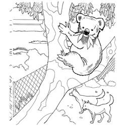 Dessin à colorier: Koala (Animaux) #9470 - Coloriages à Imprimer Gratuits