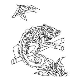Dessin à colorier: Lézards (Animaux) #22330 - Coloriages à Imprimer Gratuits