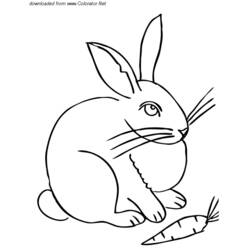 Dessin à colorier: Lièvre (Animaux) #10124 - Coloriages à Imprimer Gratuits
