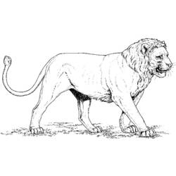 Dessin à colorier: Lion (Animaux) #10256 - Coloriages à Imprimer Gratuits