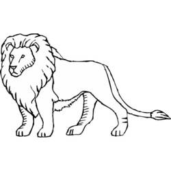 Dessin à colorier: Lion (Animaux) #10292 - Coloriages à Imprimer Gratuits