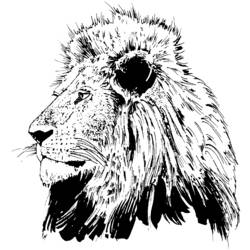 Dessin à colorier: Lion (Animaux) #10316 - Coloriages à Imprimer Gratuits