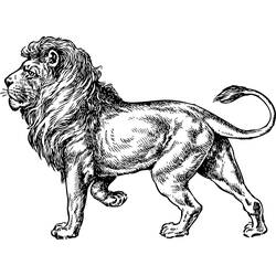 Dessin à colorier: Lion (Animaux) #10318 - Coloriages à Imprimer Gratuits