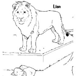 Dessin à colorier: Lion (Animaux) #10359 - Coloriages à Imprimer Gratuits