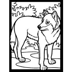 Dessin à colorier: Loup (Animaux) #10440 - Coloriages à Imprimer Gratuits
