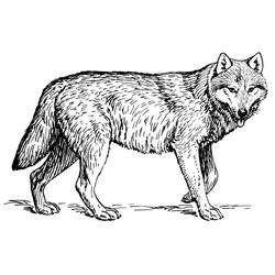 Dessin à colorier: Loup (Animaux) #10444 - Coloriages à Imprimer Gratuits