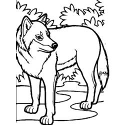 Dessin à colorier: Loup (Animaux) #10448 - Coloriages à Imprimer Gratuits