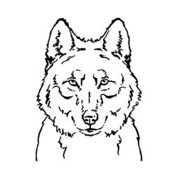 Dessin à colorier: Loup (Animaux) #10450 - Coloriages à Imprimer Gratuits
