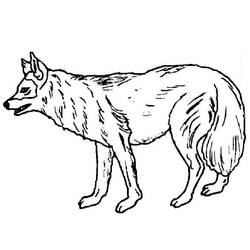 Dessin à colorier: Loup (Animaux) #10461 - Coloriages à Imprimer Gratuits
