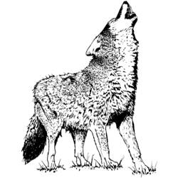 Dessin à colorier: Loup (Animaux) #10483 - Coloriages à Imprimer Gratuits