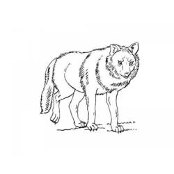 Dessin à colorier: Loup (Animaux) #10501 - Coloriages à Imprimer Gratuits