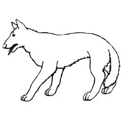 Dessin à colorier: Loup (Animaux) #10505 - Coloriages à Imprimer Gratuits